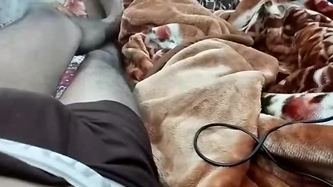 Snapshot of nooby942461 chatting on December 2024 07:11:01 PM sim nib online show from December 2024 07:11:01 PM