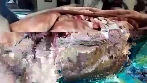 Snapshot of nooby942461 chatting on March 2025 10:31:02 PM sim nib online show from March 2025 10:31:02 PM