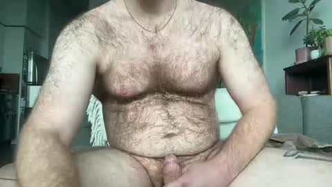 No Plan online show from November 2025 05:49:01 PM