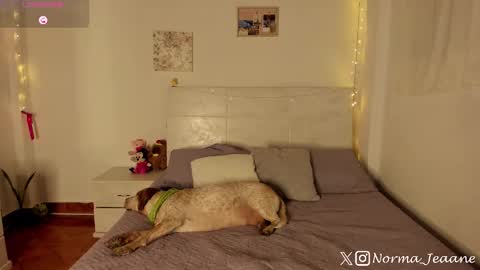 Norma Jeaane online show from October 2025 08:29:01 PM