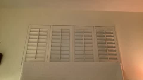 noscandal online show from November 2025 05:06:01 AM