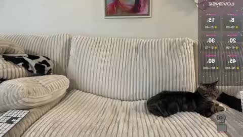 NotUrBabyMoms online show from December 2024 02:54:02 PM