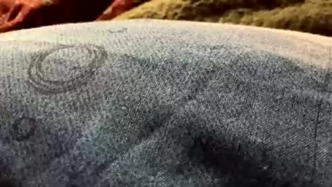 DarqLight online show from December 2024 06:01:02 AM