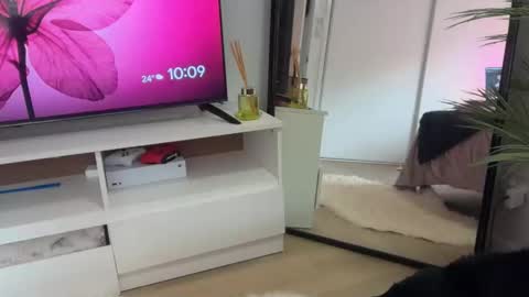 Snapshot of novamills chatting on February 2026 12:09:01 AM Nova Mills online show from February 2026 12:09:01 AM