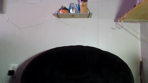 LucidXotix online show from February 2026 07:07:02 AM