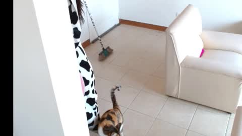 Snapshot of novaperotti chatting on September 2025 02:05:02 PM novaperotti online show from September 2025 02:05:02 PM