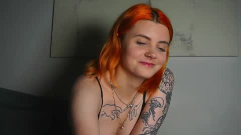 Nova online show from October 2025 07:22:02 PM