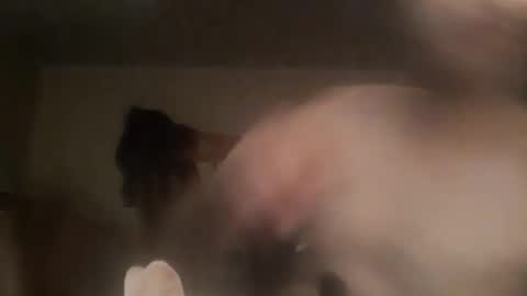 Snapshot of novasocia chatting on September 2025 04:26:01 AM novasocia online show from September 2025 04:26:01 AM