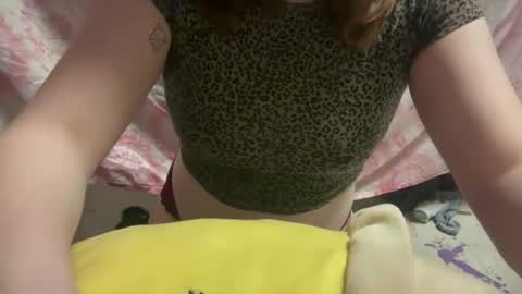 novasteelz online show from February 2025 11:43:01 PM