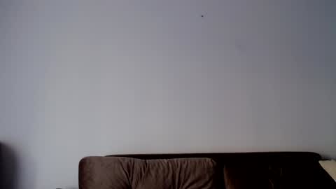 o_r_b_i_t online show from December 2024 01:29:02 PM