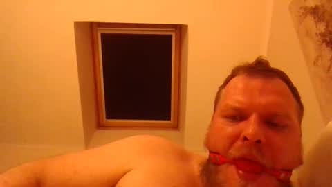 Snapshot of obesepervpiggy89 chatting on January 2026 02:38:01 AM obesepervpiggy89 online show from January 2026 02:38:01 AM