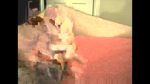 Snapshot of odinsslave chatting on February 2026 03:46:01 PM odinswarrior online show from February 2026 03:46:01 PM