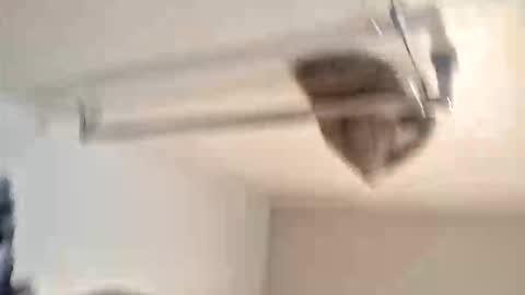 odz9ind online show from February 2026 07:29:01 PM