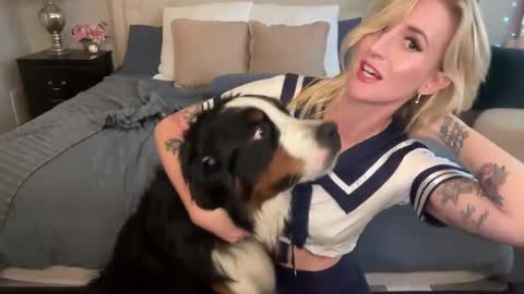 Tams online show from September 2025 03:58:02 PM