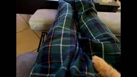 Snapshot of oggs48 chatting on October 2025 12:09:01 PM oggs48 online show from October 2025 12:09:01 PM