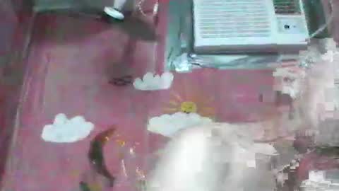 oldbuthorny62 online show from November 2025 06:57:01 AM