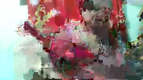 olgaaldy online show from November 2025 08:03:01 AM