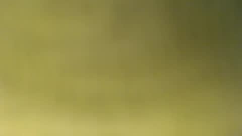 oliver_laid_2023 online show from November 2025 08:51:05 AM