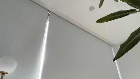 Olivia Brookes online show from November 2025 08:44:01 PM