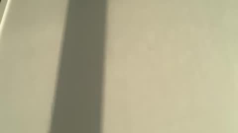 Olivia Brookes online show from January 2026 08:00:01 PM