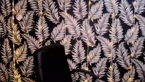 Kelly online show from January 2025 12:13:01 PM