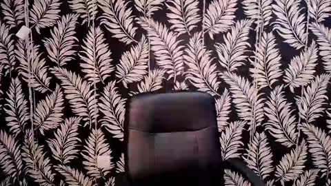 Kelly online show from January 2025 11:23:02 AM