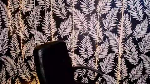 Kelly online show from October 2025 11:33:02 AM