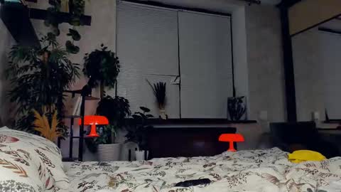 Ana online show from February 2025 01:33:01 AM