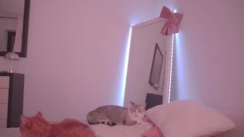 Snapshot of onelittlemermaid chatting on February 2026 10:27:01 PM Ariel online show from February 2026 10:27:01 PM