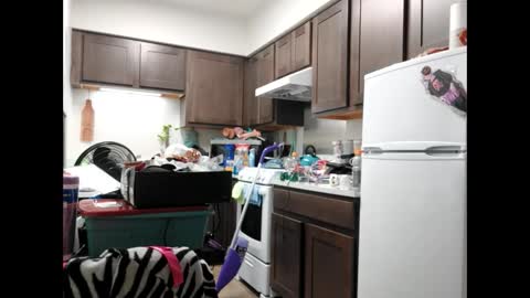 Snapshot of opalockajoe chatting on February 2025 04:41:02 PM TsJojo online show from February 2025 04:41:02 PM