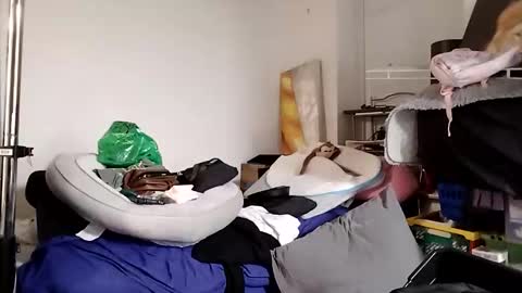 TsJojo online show from December 2025 09:36:02 AM