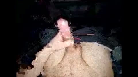 Snapshot of opelator chatting on January 2025 06:20:02 PM opelator online show from January 2025 06:20:02 PM