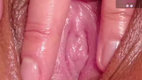 orchidekitty online show from July 2026 11:53:02 PM