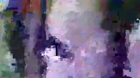 Snapshot of oretrail chatting on February 2025 05:37:01 AM oretrail online show from February 2025 05:37:01 AM