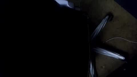 Snapshot of orgasmgiver9090 chatting on November 2025 07:36:02 PM orgasmgiver9090 online show from November 2025 07:36:02 PM