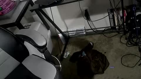 orgasmgiver9090 online show from March 2026 07:52:01 PM