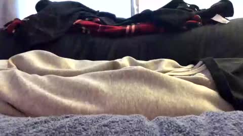 Snapshot of orgazim123 chatting on November 2025 05:20:01 PM orgazim online show from November 2025 05:20:01 PM