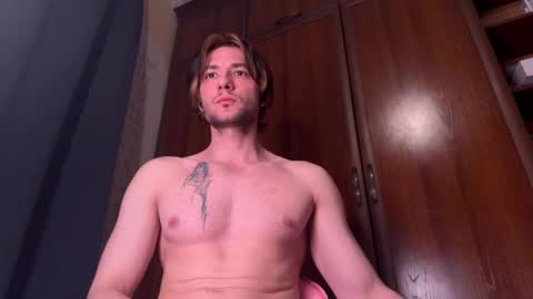 origamicat online show from March 2026 04:45:02 PM