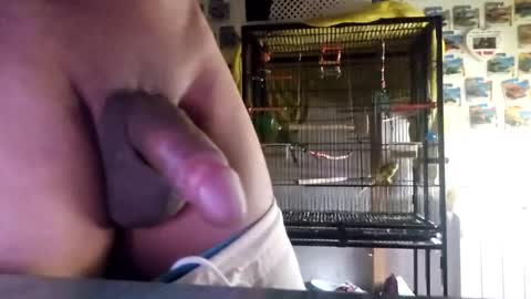 orlandovilla48 online show from October 2025 11:55:02 AM