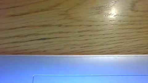 ornytologist online show from January 2025 01:48:02 PM