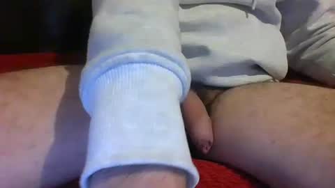 ornytologist online show from January 2025 09:49:02 AM