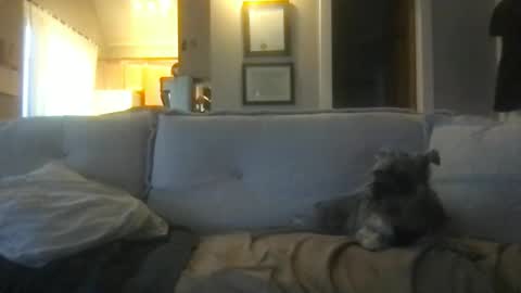 rossignol online show from February 2025 01:16:02 AM