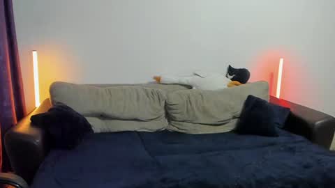 Ostin online show from August 2026 08:29:01 PM