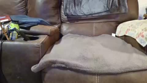 Snapshot of outdoorsmanmark71 chatting on December 2024 02:12:02 AM outdoorsmanmark71 online show from December 2024 02:12:02 AM