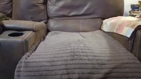 Snapshot of outdoorsmanmark71 chatting on September 2025 09:59:02 PM outdoorsmanmark71 online show from September 2025 09:59:02 PM