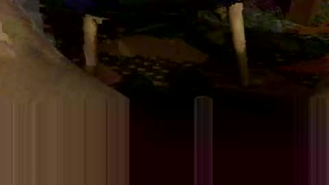 Oxo online show from October 2025 08:54:02 PM