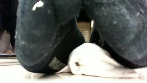 Pablo Meness online show from February 2025 05:22:02 PM