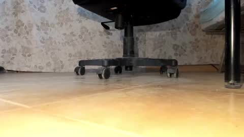 Pablo Meness online show from December 2025 02:33:01 PM