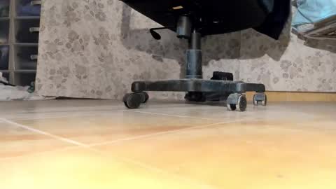 Pablo Meness online show from December 2025 06:36:02 PM