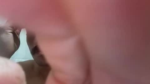   PALA online show from January 2026 02:15:01 AM